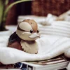 Avatar - Der Herr der Elemente - Turtle Duck TUBBZ Deko Ente