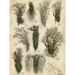 Der Herr der Ringe - Fangorn Kunstdruck