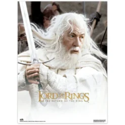 Der Herr der Ringe Poster 38 x 52 cm 2er Set