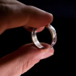Der Herr der Ringe - Ring Silber