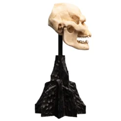 Der Herr der Ringe - Skull of Lurtz Mini Statue