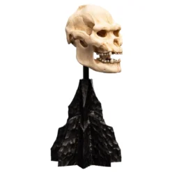Der Herr der Ringe - Skull of Lurtz Mini Statue