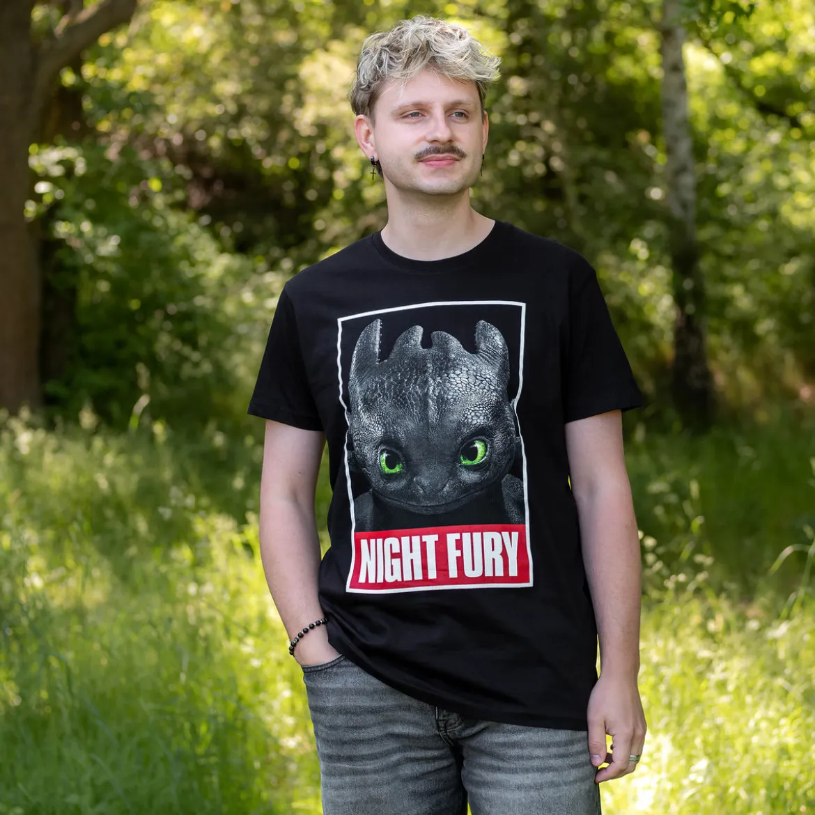 Drachenzähmen leicht gemacht - Night Fury Poster T-Shirt schwarz