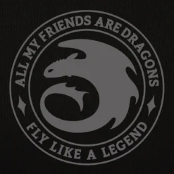 Drachenzähmen leicht gemacht - Night Fury Legend Hoodie schwarz