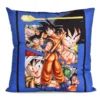 Dragon Ball - Son Goku Kissen