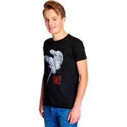 Dragon Ball Z - Muten Roshi Kick T-Shirt schwarz