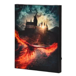 Dumbledores Geheimnisse Wandbild mit Licht - Harry Potter
