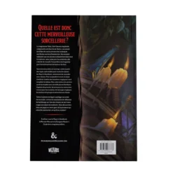 Dungeons & Dragons RPG Le Chaudron des Merveilles de Tasha französisch