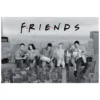 Friends - Empire Building Maxi Poster