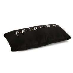 Friends - Logo Kissen