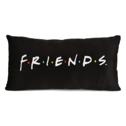 Friends - Logo Kissen