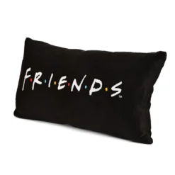 Friends - Logo Kissen