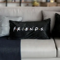 Friends - Logo Kissen