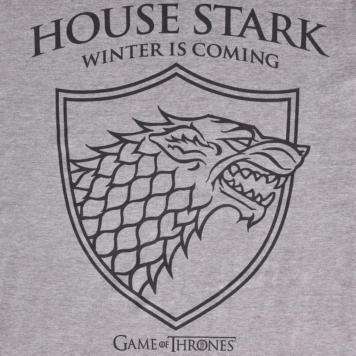 Game of Thrones - Schattenwolf T-Shirt grau