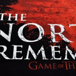 Game of Thrones - The North Remembers T-Shirt