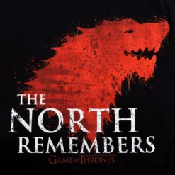 Game of Thrones - The North Remembers T-Shirt
