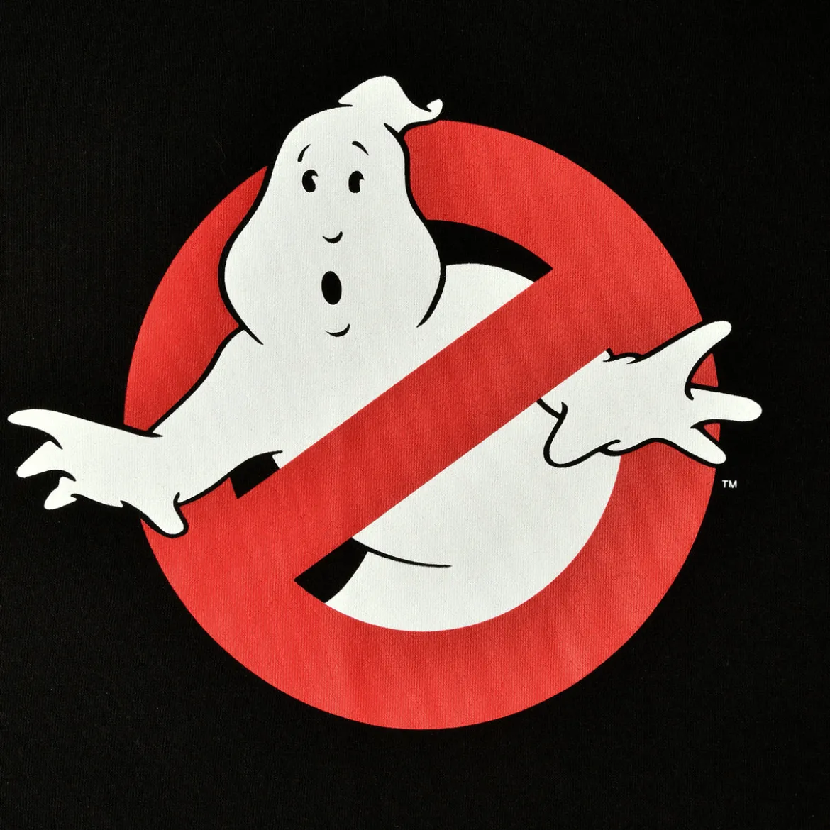 Ghostbusters - Ain't Afraid of No Ghost Hoodie