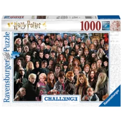 Harry Potter - Characters Challenge Puzzle