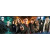 Harry Potter - Characters Panorama Puzzle