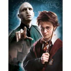 Harry Potter - Characters Puzzle 3er Set