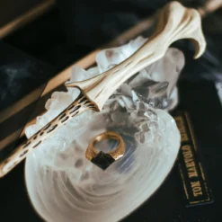 Harry Potter - Der Horkrux Ring