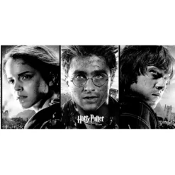 Harry Potter - Drei Helden Tasse