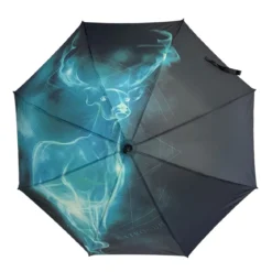 Harry Potter - Expecto Patronum Schirm