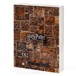 Harry Potter - Fette Dame Box mit Notizblock und Passwort