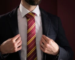 Harry Potter - Gryffindor Krawatte mit Geschenkbox