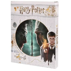 Harry Potter - Harry vs. Voldemort Wandbild mit Licht