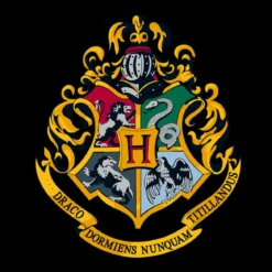 Harry Potter - Hogwarts Hoodie schwarz