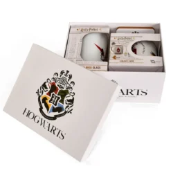 Harry Potter - Hogwarts Quidditch Geschenkset