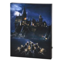 Harry Potter - Hogwarts Wandbild mit Licht