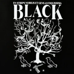 Harry Potter - House of Black T-Shirt schwarz