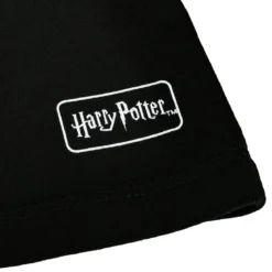 Harry Potter - House of Black T-Shirt schwarz