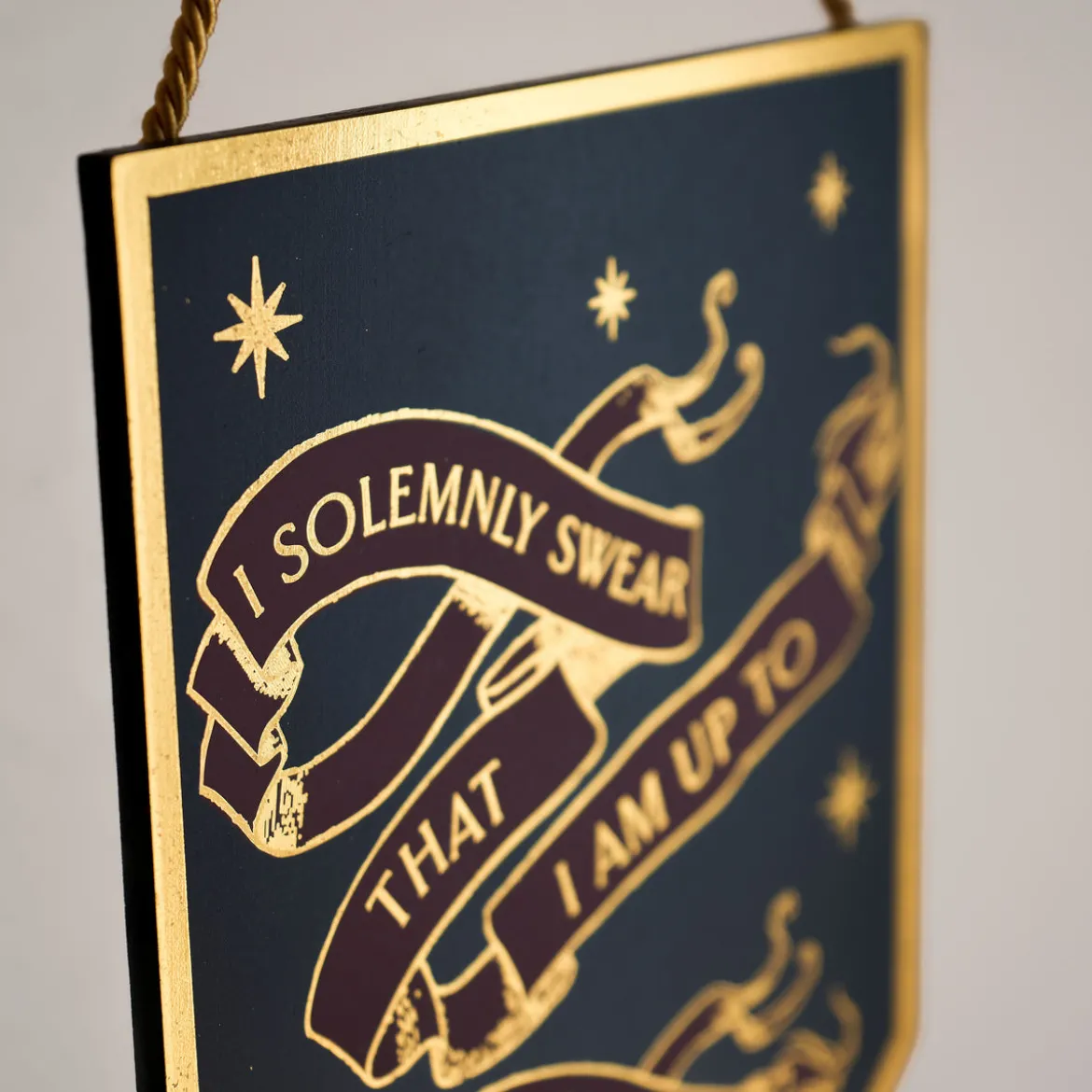 Harry Potter - I Solemnly Swear Alumni Wandbild Holz