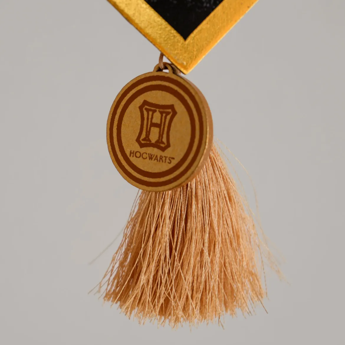 Harry Potter - I Solemnly Swear Alumni Wandbild Holz