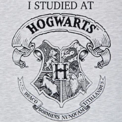 Harry Potter - I Studied at Hogwarts Damen Sweater grau