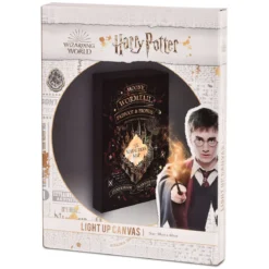 Harry Potter - Karte des Rumtreibers Wandbild mit Licht
