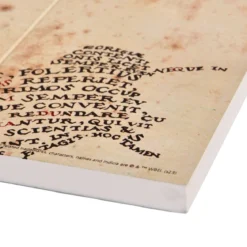 Harry Potter - Karte des Rumtreibers Wandbild Holz