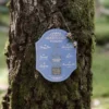 Harry Potter - Kräuterkunde und Zaubertränke Wandbild Holz