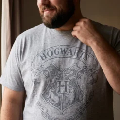Harry Potter - Logo T-Shirt grau
