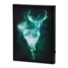 Harry Potter - Patronus Wandbild mit Licht