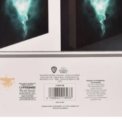 Harry Potter - Patronus Wandbild mit Licht