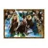 Harry Potter Puzzle Der Zauberschüler Harry Potter (1000 Teile)