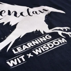 Harry Potter - Ravenclaw House Pride T-Shirt blau