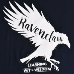 Harry Potter - Ravenclaw House Pride T-Shirt blau