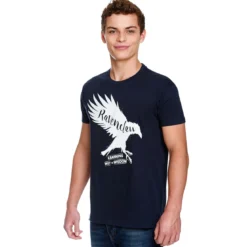 Harry Potter - Ravenclaw House Pride T-Shirt blau
