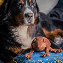 Harry Potter - Schokofrosch Kissen mit Plüsch Figur