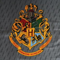 Harry Potter - Slytherin & Hogwarts Geschirrtücher Set